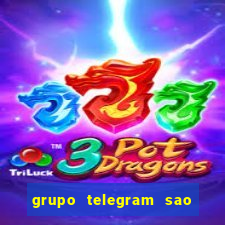 grupo telegram sao jose do rio preto